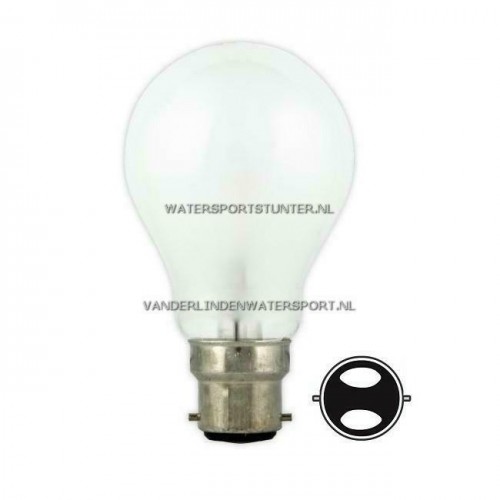 Standaardlamp 24 Volt 15 Watt Mat Bajonetfitting B22